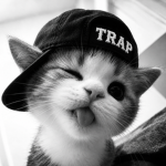 Trap UK