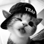 Trap UK Group Thumbnail