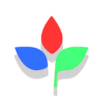Green Interactive