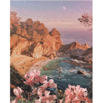 paradise hangout [BETA]