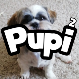 P.U.P.I 2