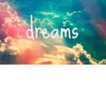 · ＤＲＥＡＭＳ·