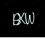 BatxWing