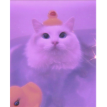 ᴛʜᴇ ᴀᴇꜱᴛʜᴇᴛɪᴄ ꜰʟᴏᴏꜰꜱ