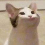 Pop Cat Game [2.05]