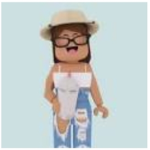 Fan clubs of roblox