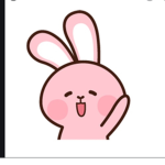 Rabbit ######