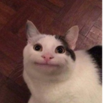 ZaxH