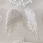 ~ Cloudies ~