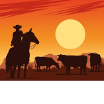 Musket Testing Cowboy