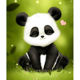 Panda Squad Camp...