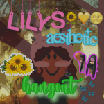 lily’s aesthetic hangout!