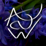 AIMLESS AND WANDERING