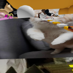 Cute Cats Obby