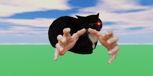 Maxwell obby