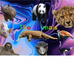 The godly animals group