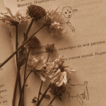 𝗲𝗻𝗱𝗶𝗻𝗴