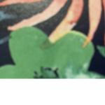 Fruitie_vibes