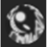M31OW ALLIANCE