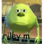 riley m group