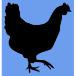 chickensquad:-)