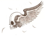 Flying Black Skulls