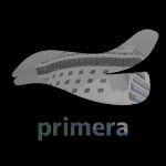 Canaries | araya primera