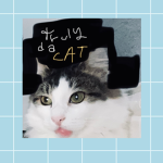 ASETHETIC CAT FAN GROUP