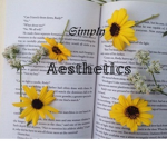 Simply Aesthetic