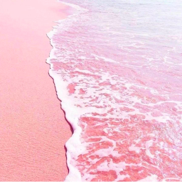⋆˚✿˖°