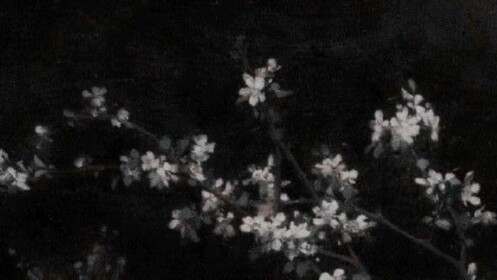 Artemis' Garden of Eden