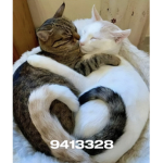 luvspellz<3