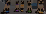 ~The Siamese Cats~