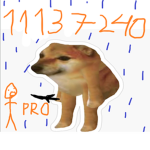 bruh dogs