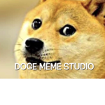 doge meme studio