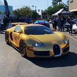 The Gold Bugatti Club