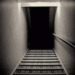 trex's basement