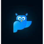 Blue owl Group!!