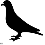 THE COUNCIL OF PIGEONS