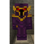 Ninja asassins