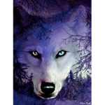 Thunder Wolf's