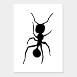 The Ant's Colony