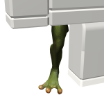 Frog - Right Leg