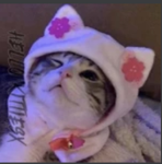 Join if you like anime lol