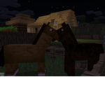 What do I name dis