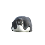 PlumpPenguin