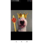 Collin44671
