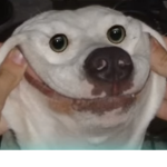 Hello Lukas