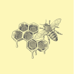 Stunning Honey Bees