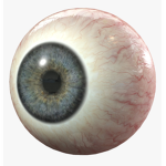 eye colors